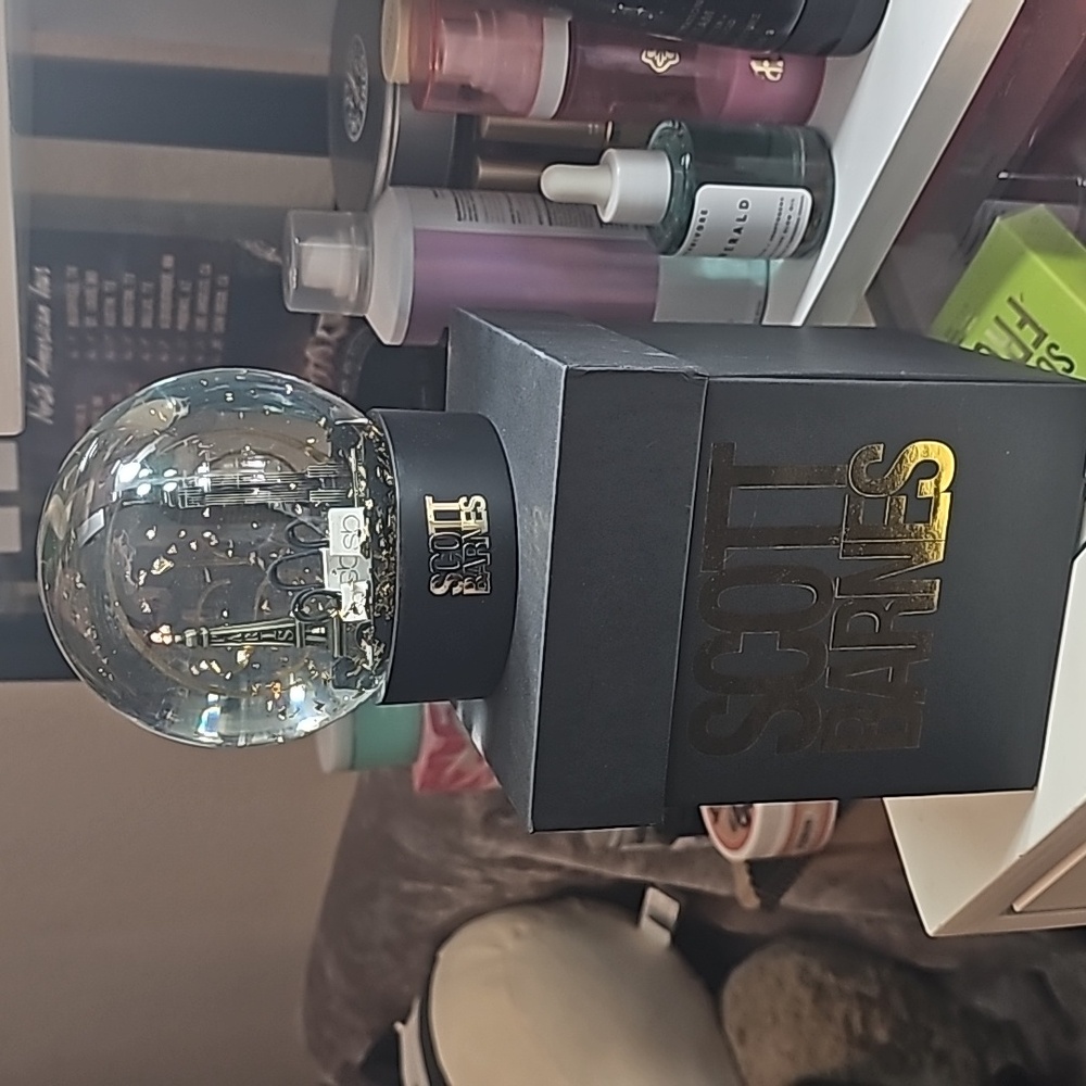 Scott Barnes snow globe